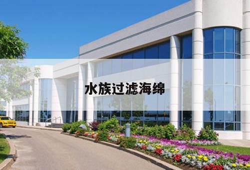 水族過濾海綿