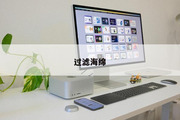 過(guò)濾海綿